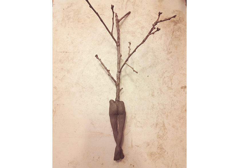 “Seeds of Art” İlk Sergisi “Dünyaya Orman Denir” ile Bodrum Barbaros Farm Ormanında