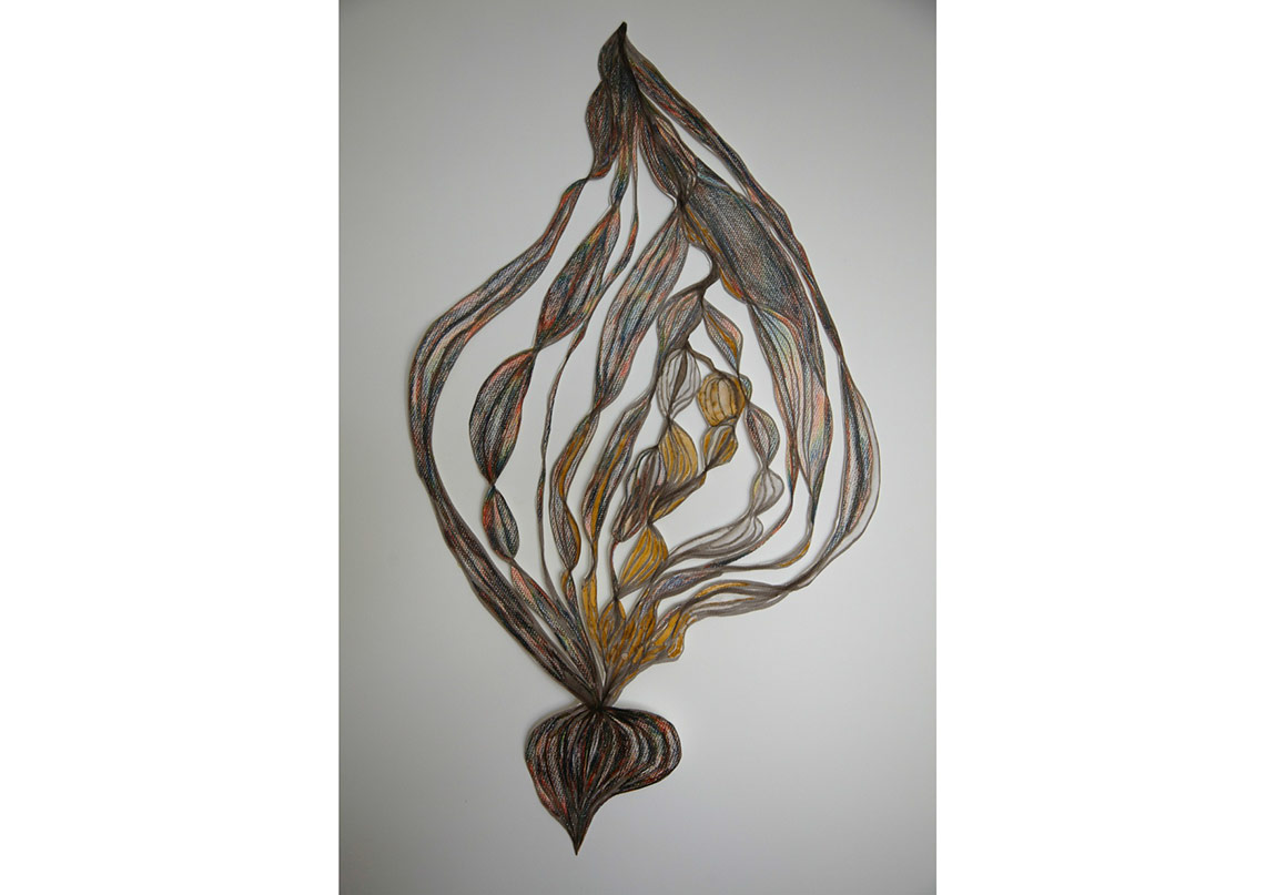 Deney Alanı Olarak Bitkilerin Bulmacası