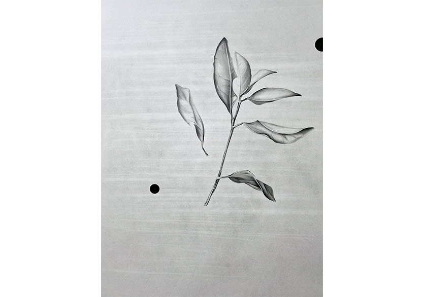 Mustafa Bağcı’nın “Sessiz Bir Karşılaşma” Sergisi Simbart Projects’te