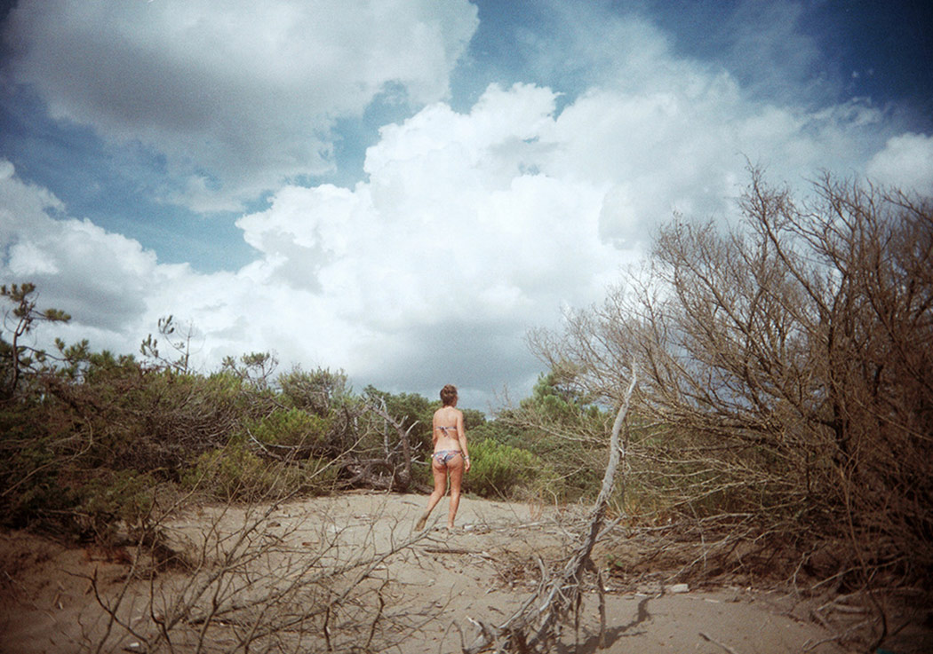 Sıcak Renklerin Dansı