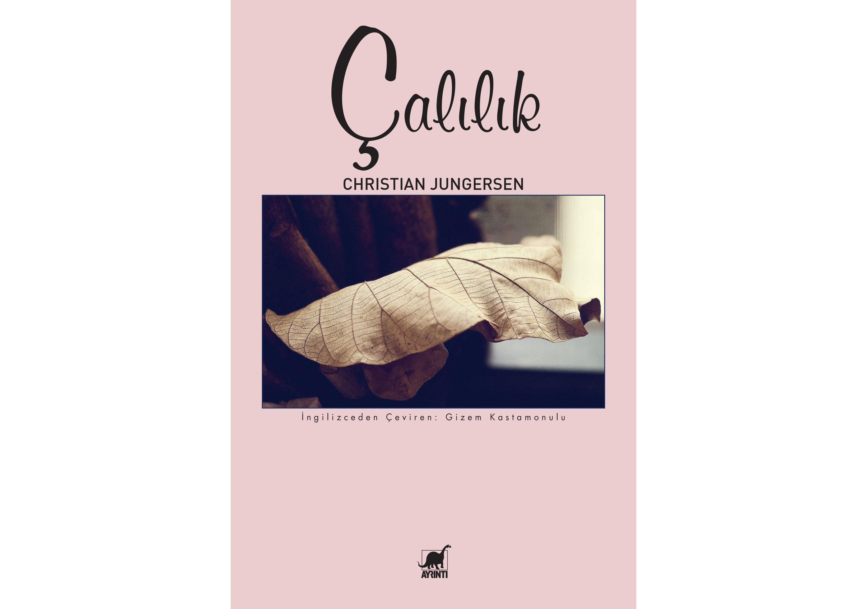 82 Yıllık Bir “Çalılık”