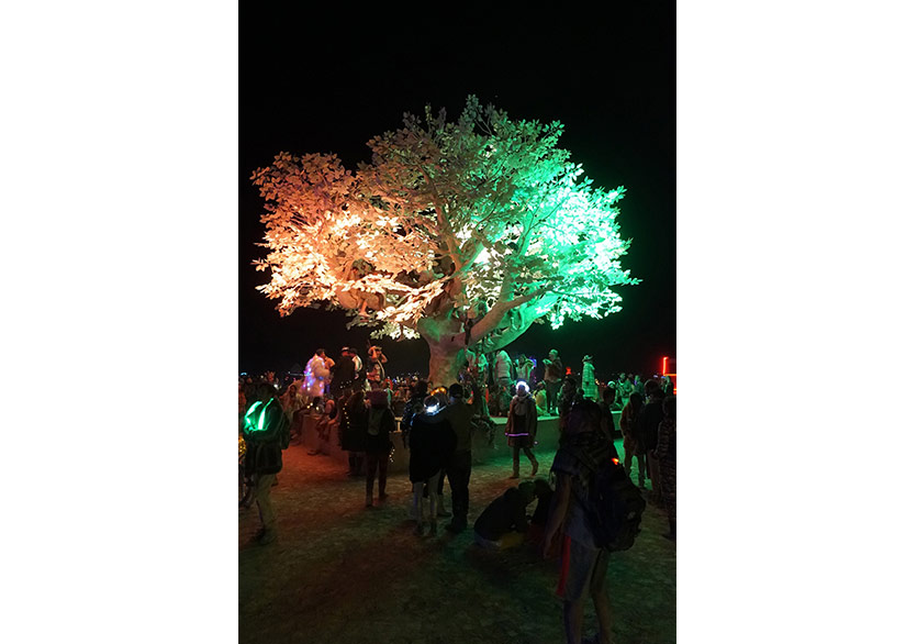 Burning Man Katılımcılarına Işık Desenleriyle Cevap