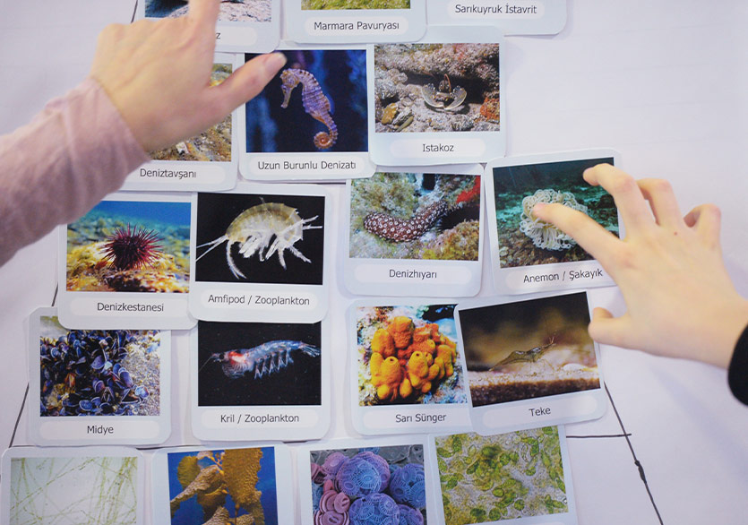 Borusan Contemporary ve Yuvam Dünya İş Birliğinde Program Serisi