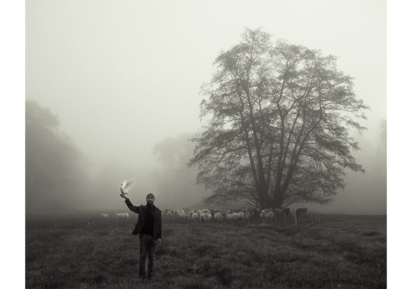 Galeri / Miz’den Yeni Sergi: “Çok Düşünüyorsun”