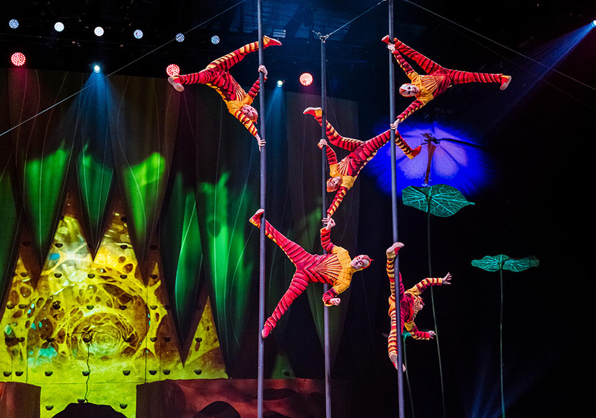Cirque du Soleil, “OVO” Gösterisiyle Ülker Spor Arena’da