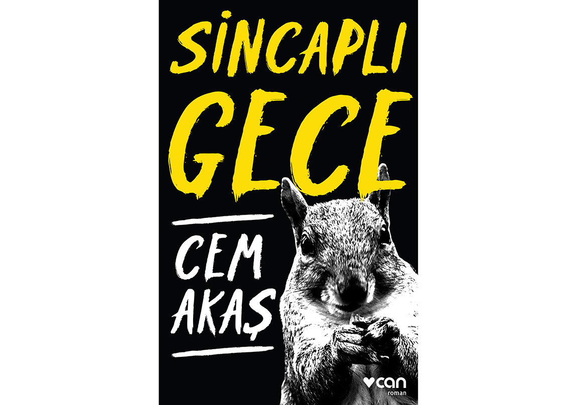 Boyutlararası Eksiltmeli Bir Roman