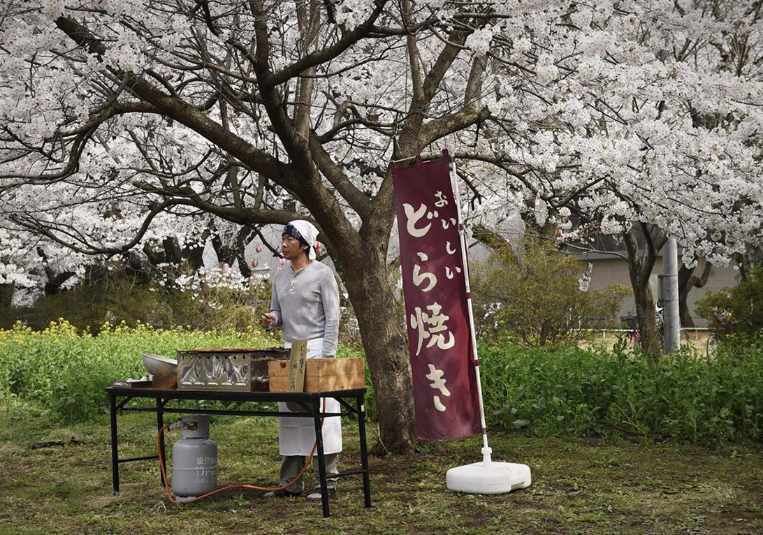 Siz de Japon Filmlerini Sever misiniz?