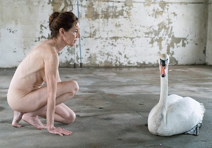 Susan Silas “Evcilleşmemiş” Sergisi ile KOLİ Art Space’de