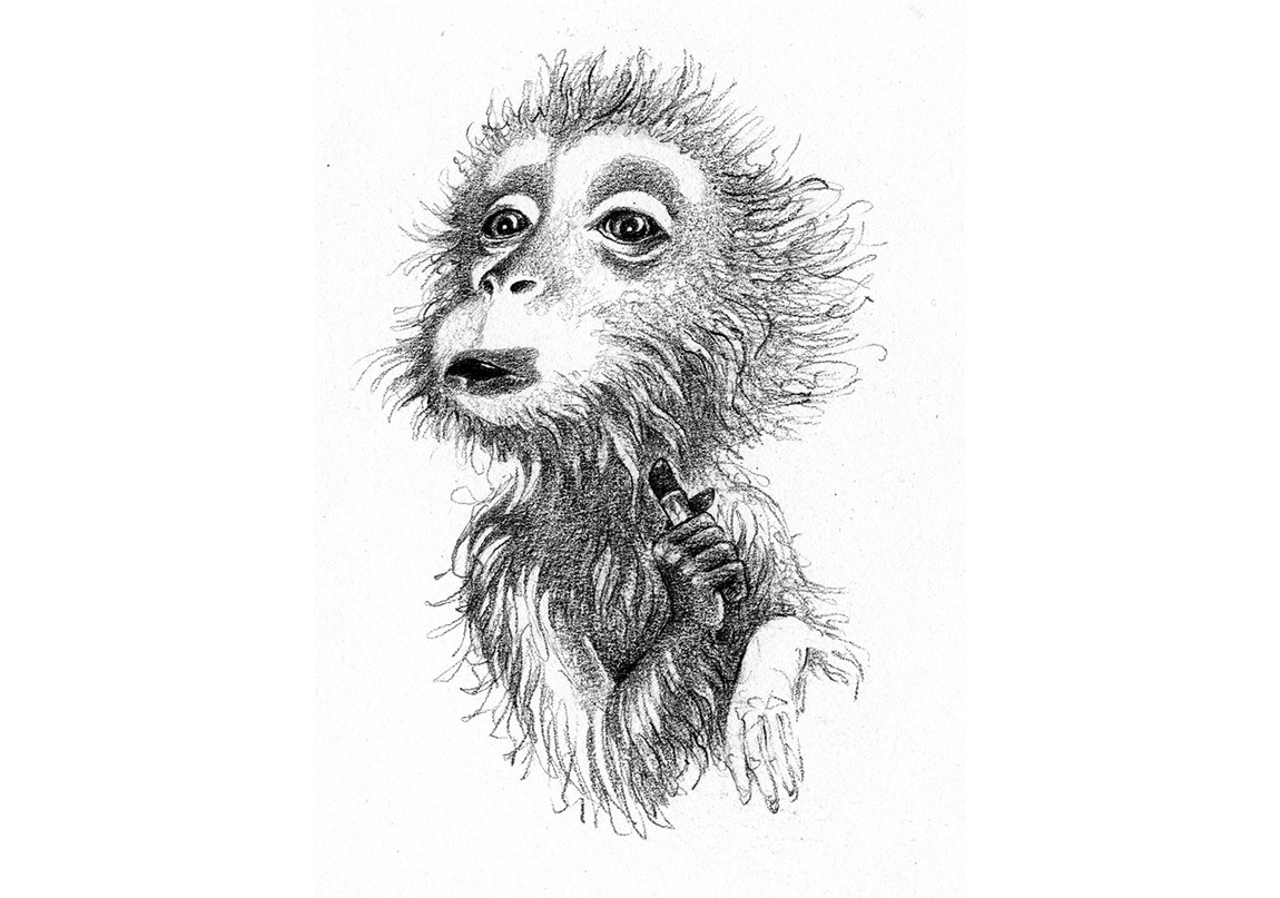 Şanslı Sams’ın Son Macerası Yayımlandı!