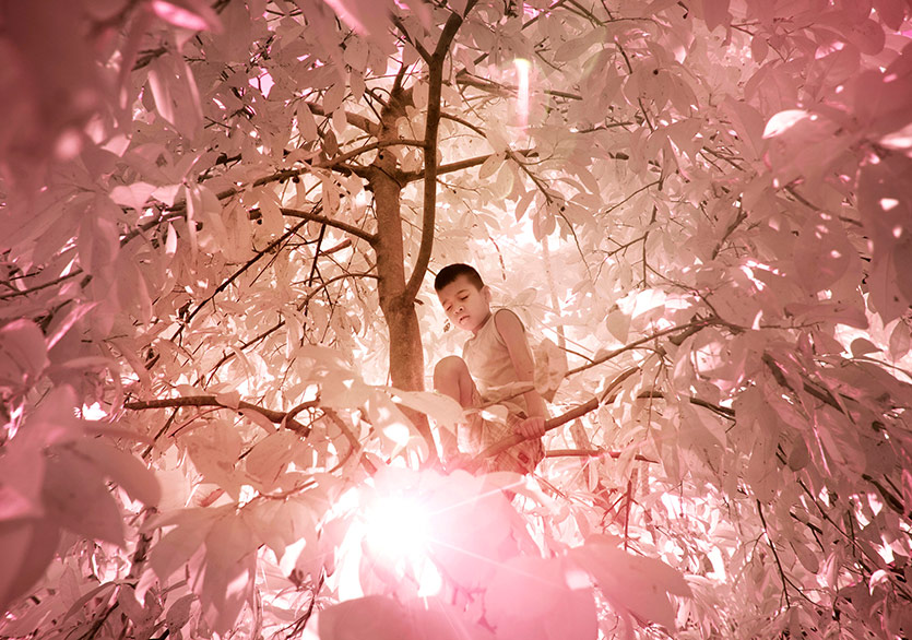 Renk Körlerinin Gözünden Manzaralar