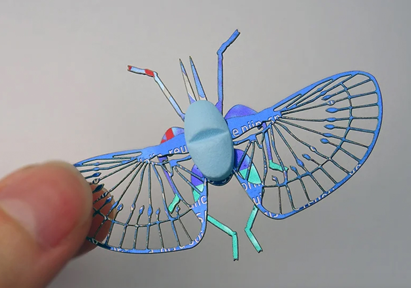 Merel Slootheer’dan Kâğıt Böcekler