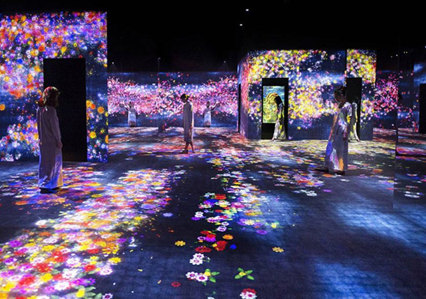 Dijital Bahçenin Yaşam Döngüsü