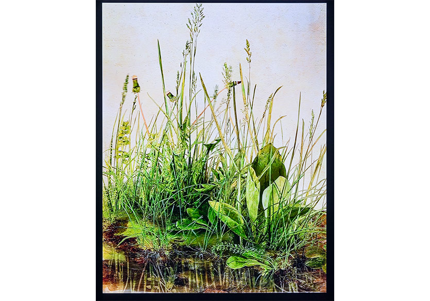 Doğa Temalı Bir Dijital Sanat Deyimi “Flora” Sergisi Kalyon Kültür’de