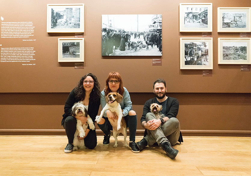 Köpek Dostu Sergiye Davetlisiniz!