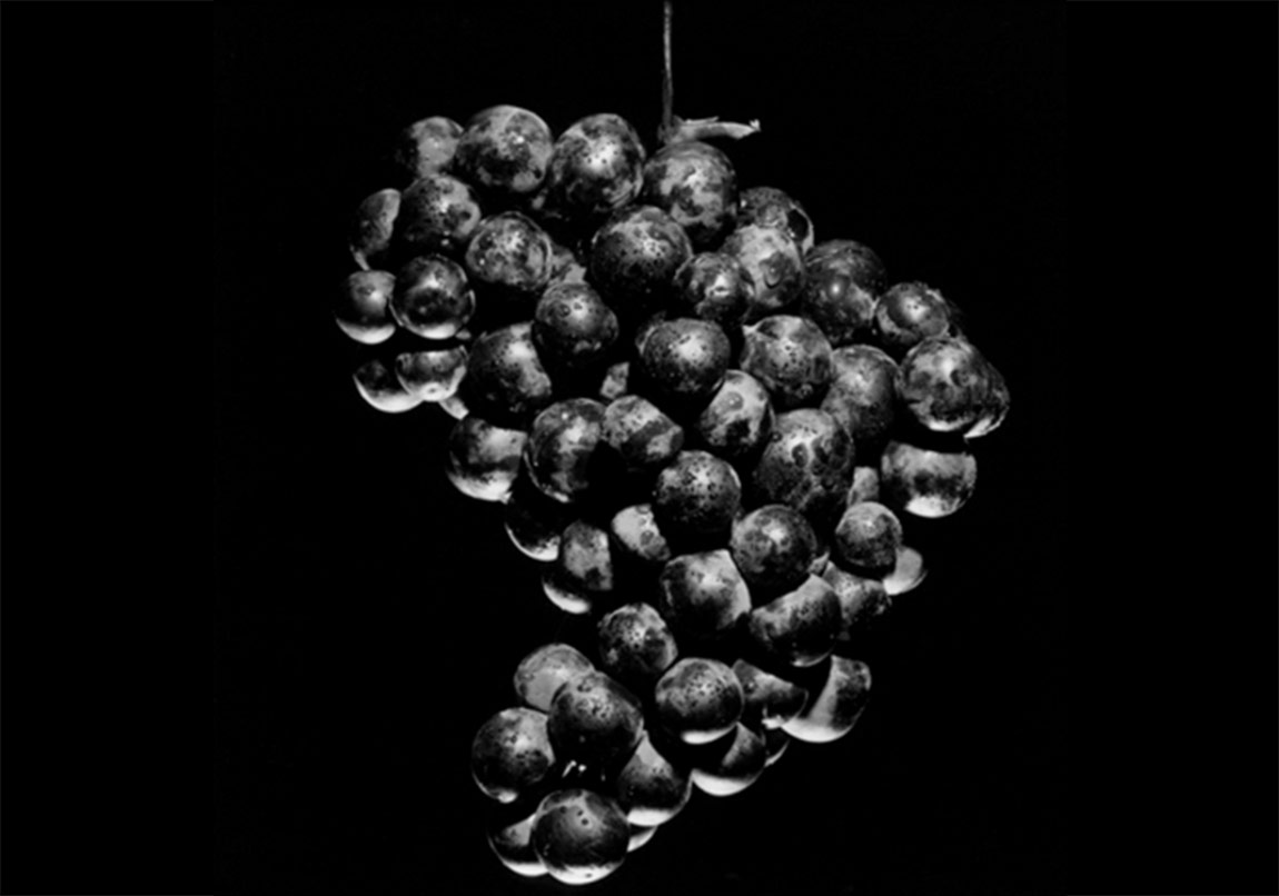 Robert Mapplethorpe’la Zıtlıkların Gücü