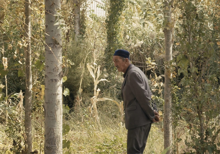 BIFED 2023 Belgeselleri Sinematek’te