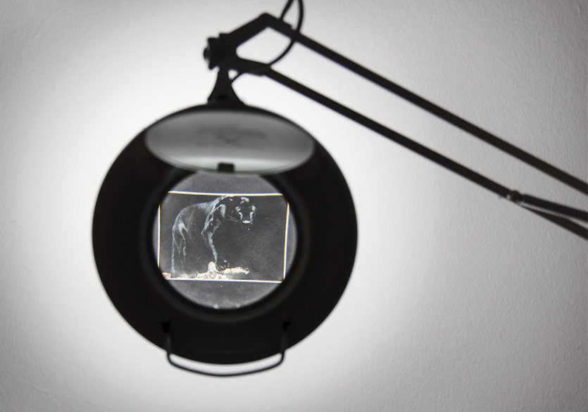 “Ateş Çağı” Sergisi Çankaya Çağdaş Sanatlar Merkezi’nde 