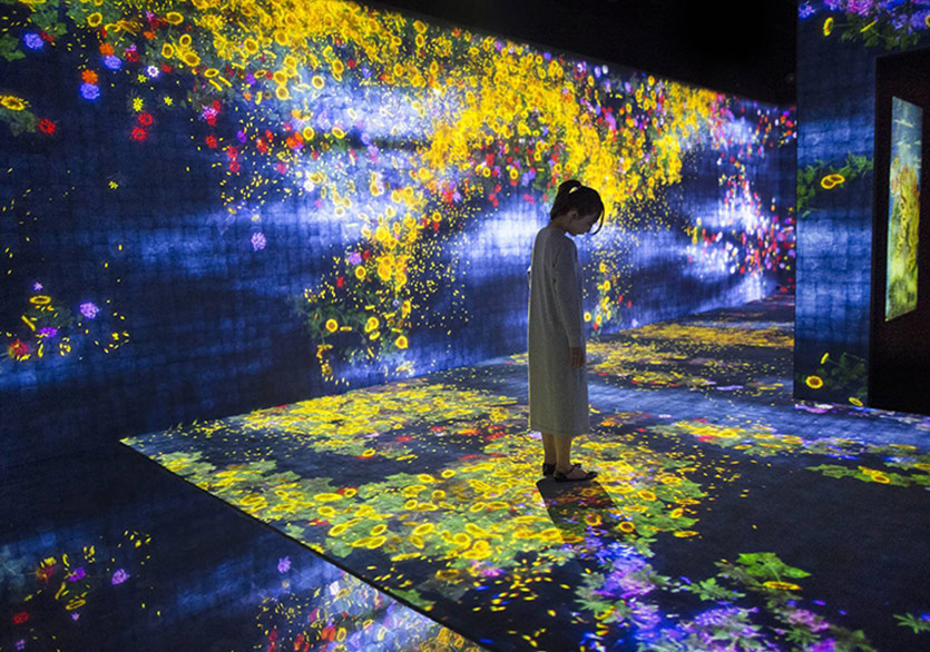 Dijital Bahçenin Yaşam Döngüsü