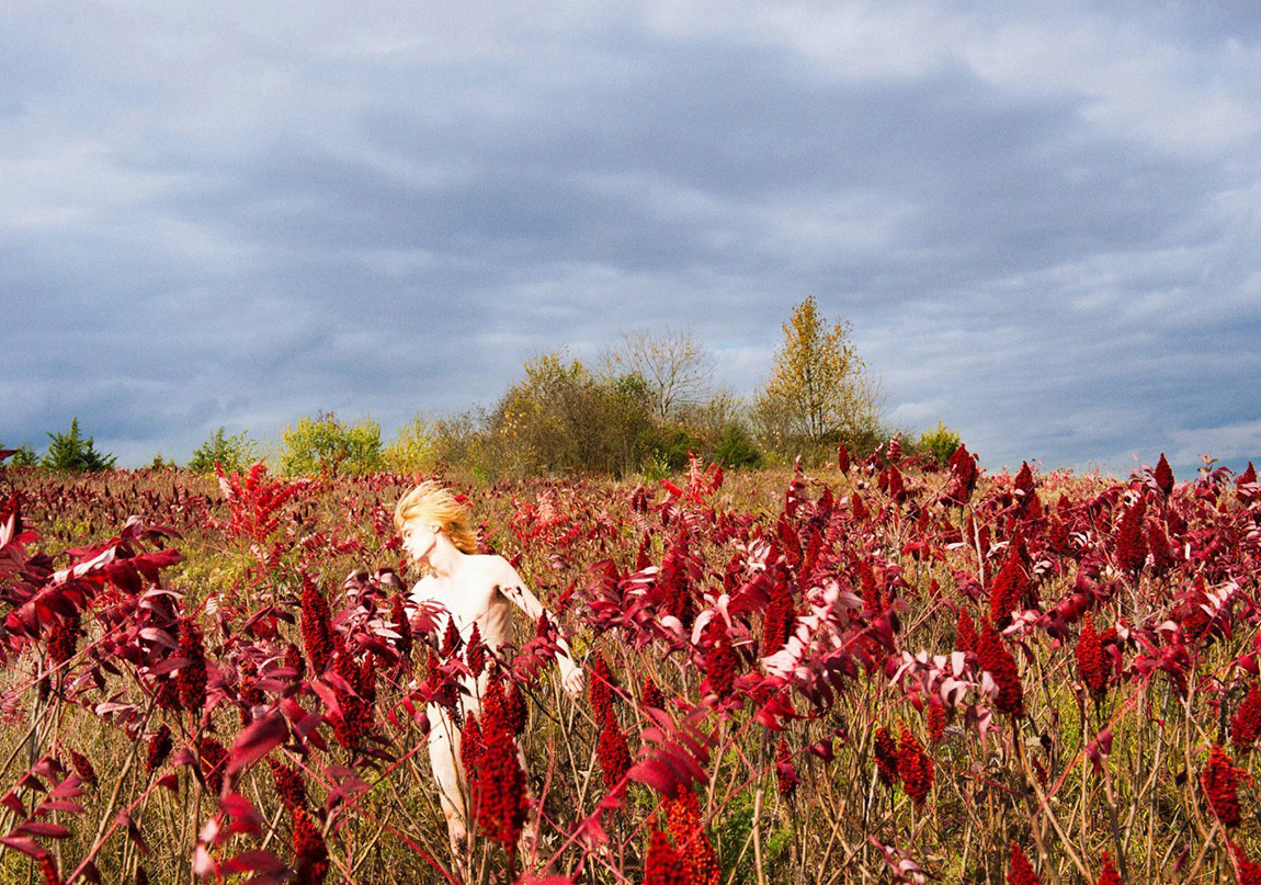 Enerjik Karelerin Fotoğrafçısı