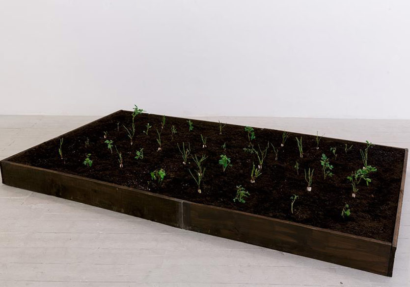 Şam Gülleri Londra’da Açıyor