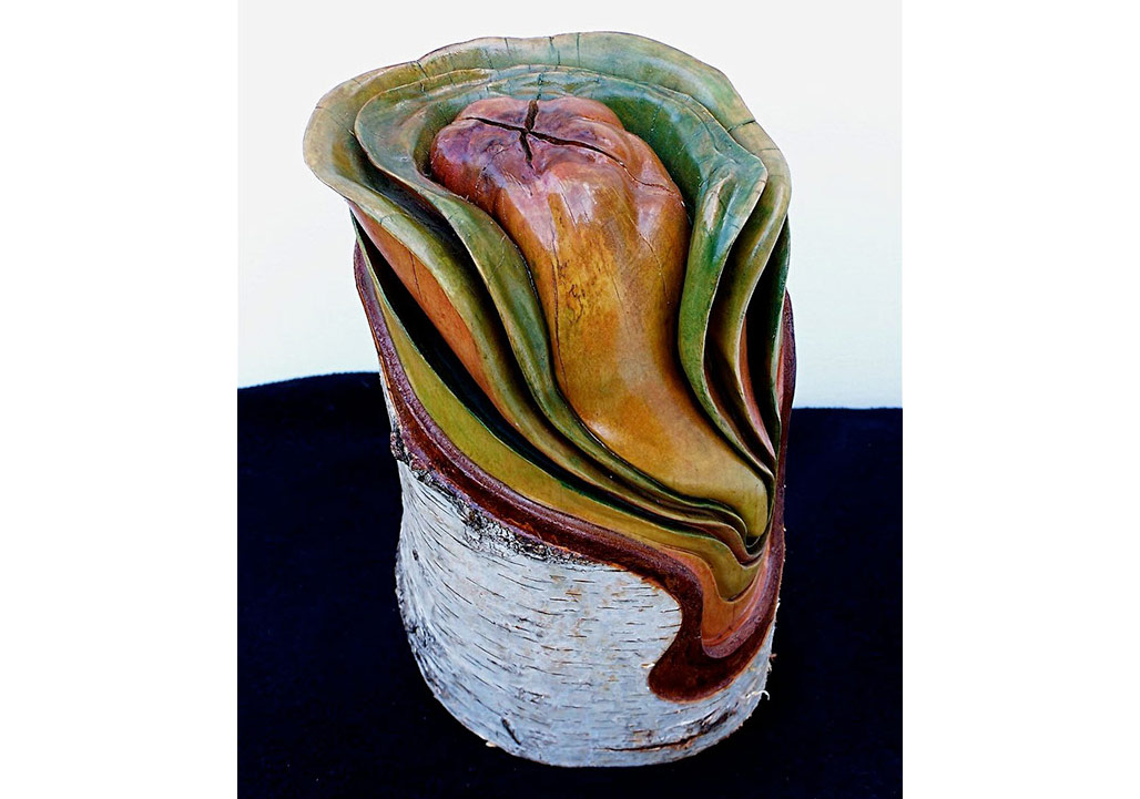 Ahşabın Bilinmeyen Hikayesi