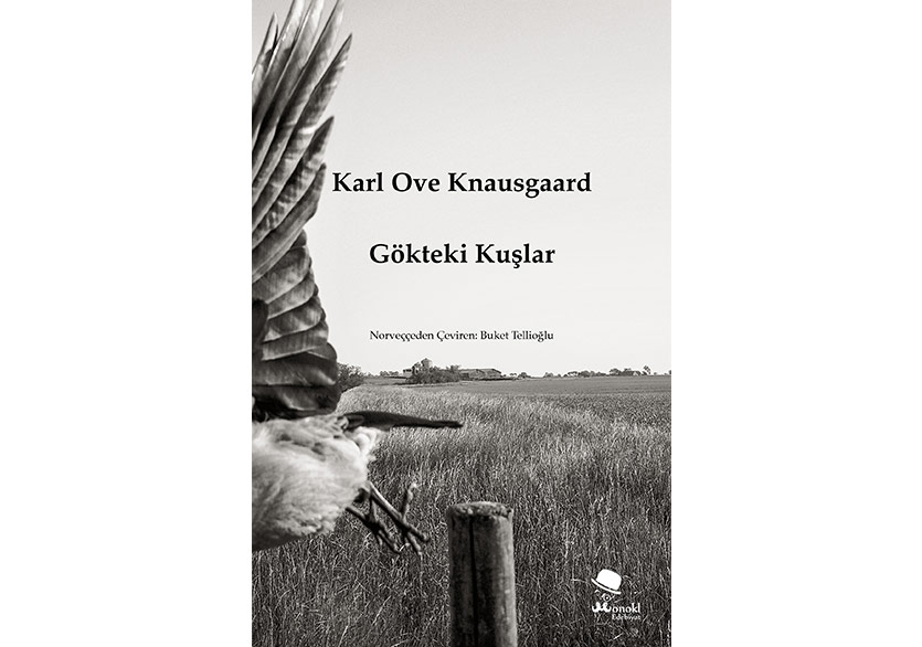 Knausgaard’dan Kuşlar ve Gökler Üzerine