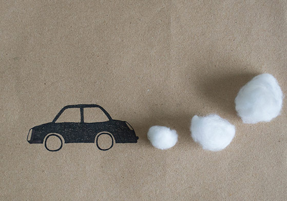 Bu İllüstrasyonun Ana Malzemesi Yapraklar