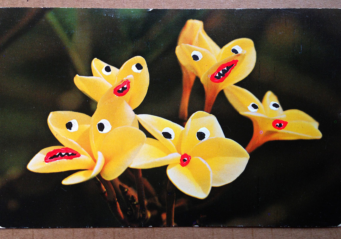 Vintage Kartpostallar Hayat Buluyor