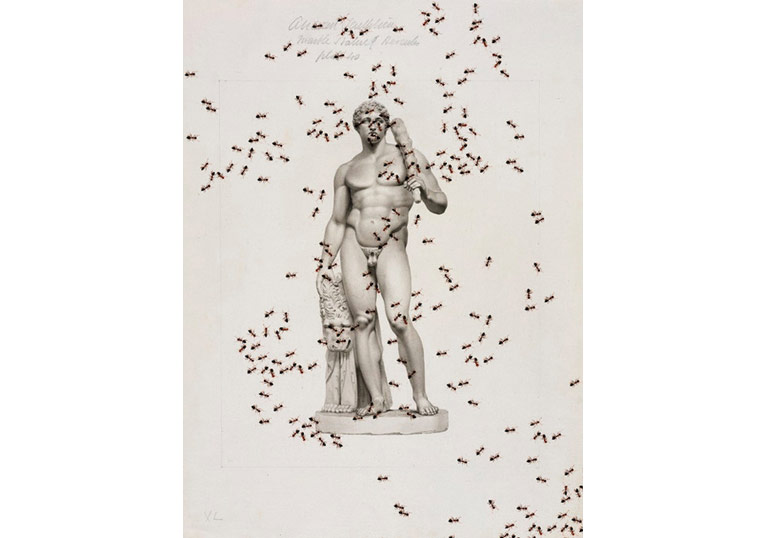 Unutulan Nesneleri Ortaya Çıkartan Kolajlar