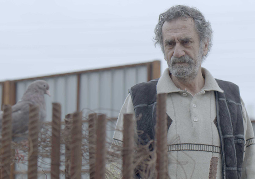 18.  Uluslararası Frankfurt Türk Film Festivali’ne Başvurular Başladı!