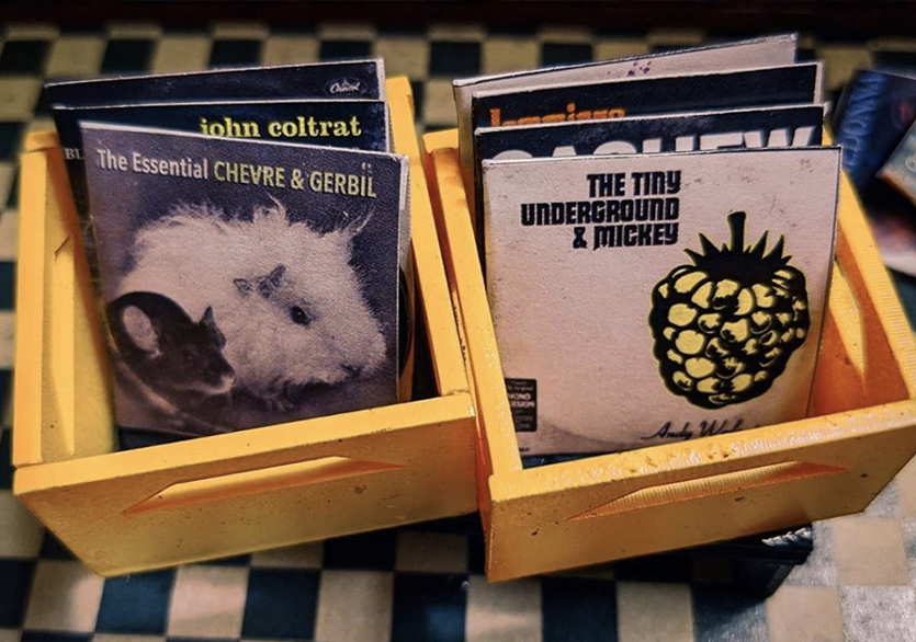 Farelere Özel Plak Dükkânı