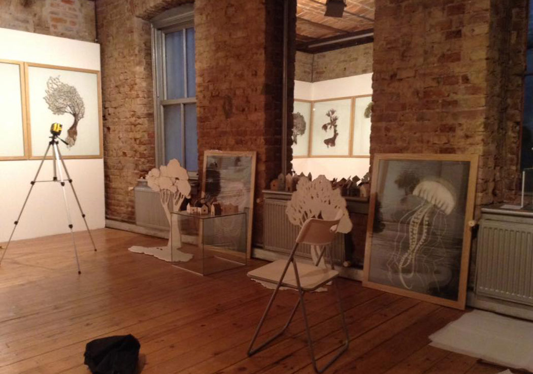 Doğanın Sessiz ve Özgün Duruşu
