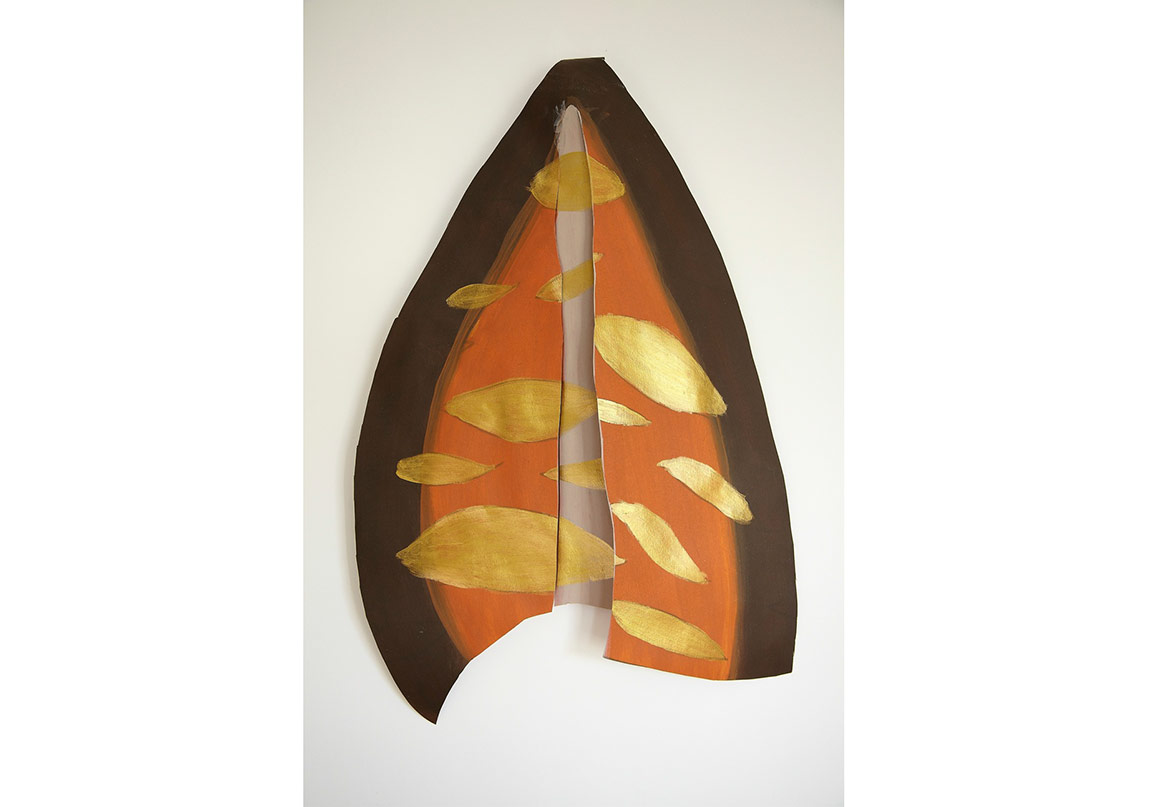 Deney Alanı Olarak Bitkilerin Bulmacası