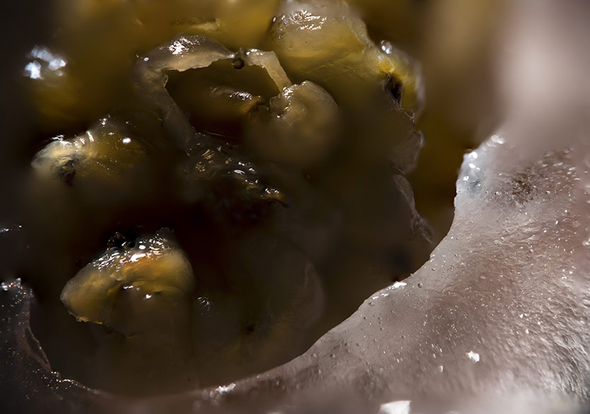 Boyutsuzluk ve Ölçeklilik Üzerine