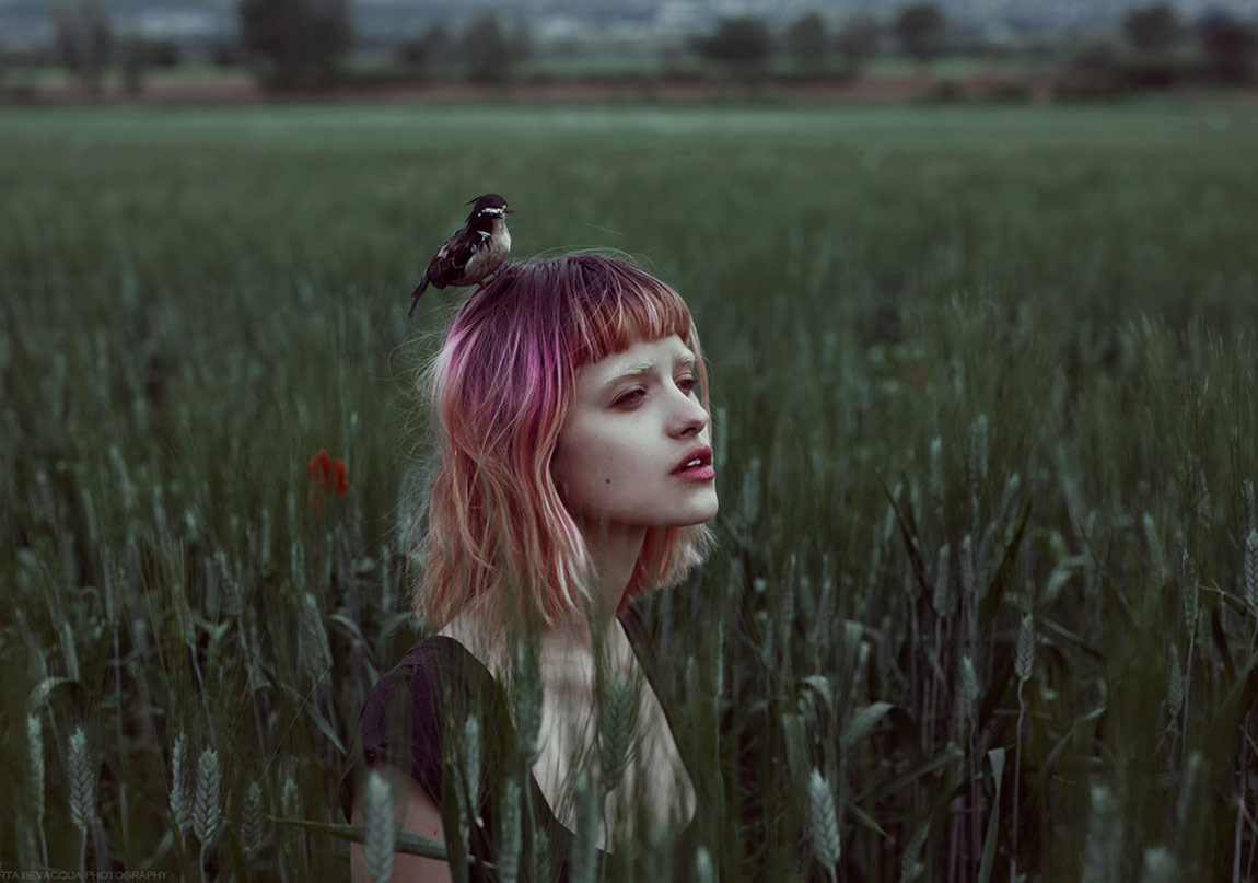 Doğadan İlham Alan Hipnotik Kareler