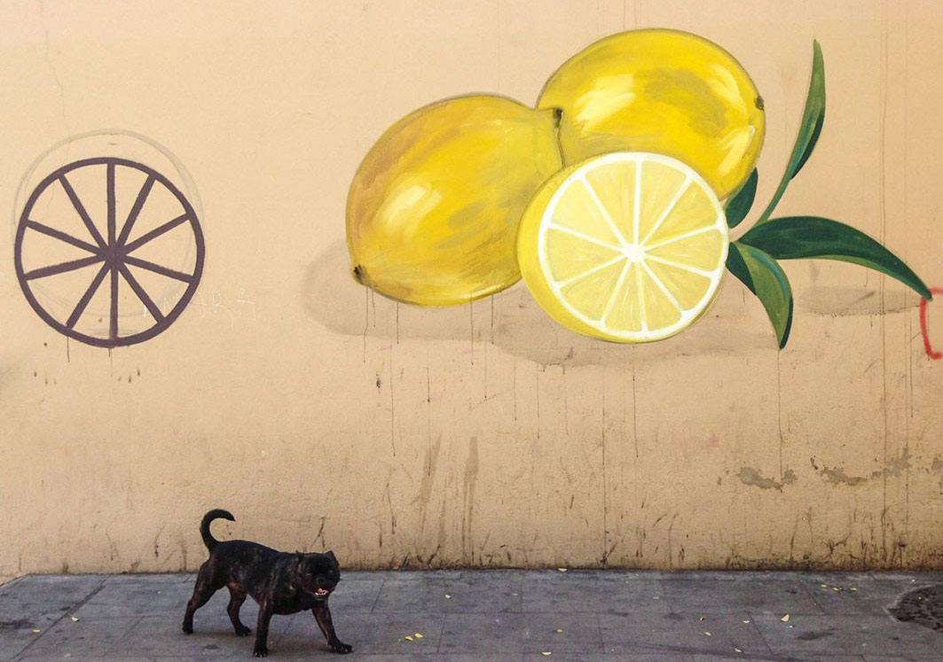 İnsanların Hayatlarına Dokunan Bir Sokak Sanatı Projesi