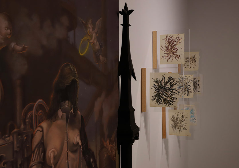 “Kaç Bacak?” Sergisi Ferda Art Platform’da