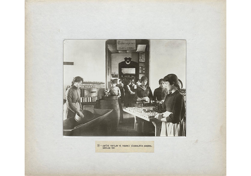 Salt Araştırma Fonları’na Başvurular Başladı