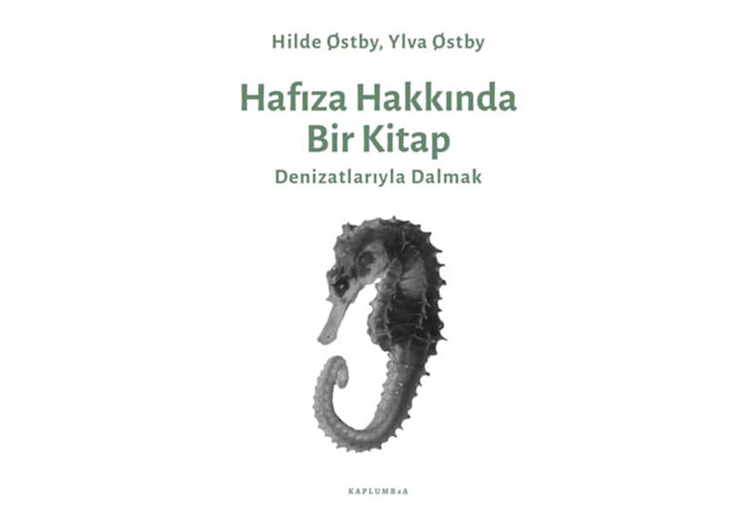 Hafıza Hakkında Bir Kitap: Denizatlarıyla Dalmak