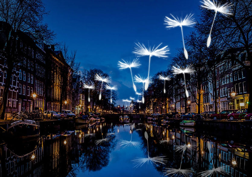 Amsterdam’da Işık Şöleni