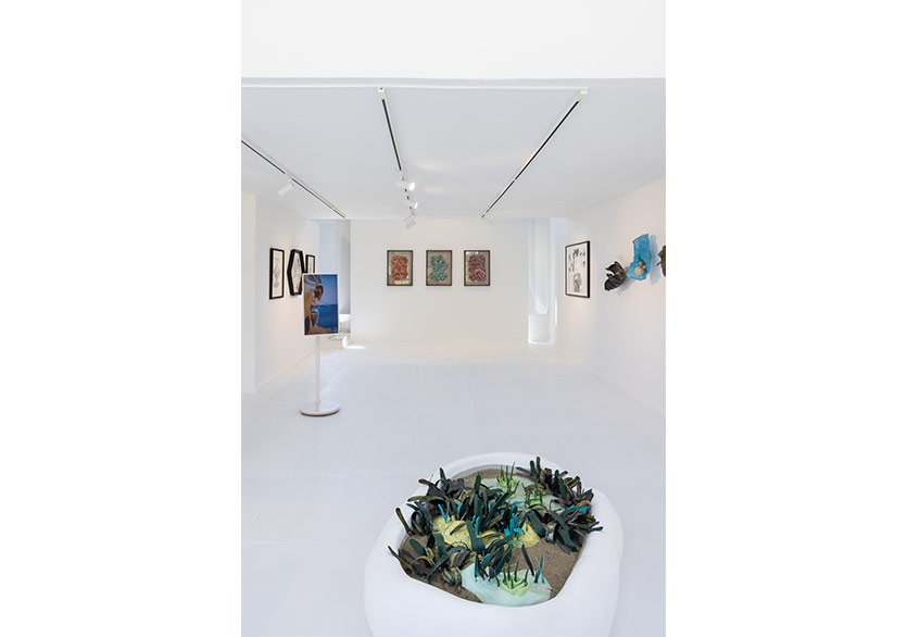 Pg Art Gallery’den Yeni Sergi: “Hiç Var Olmamış Kabuklar Rüyası” 