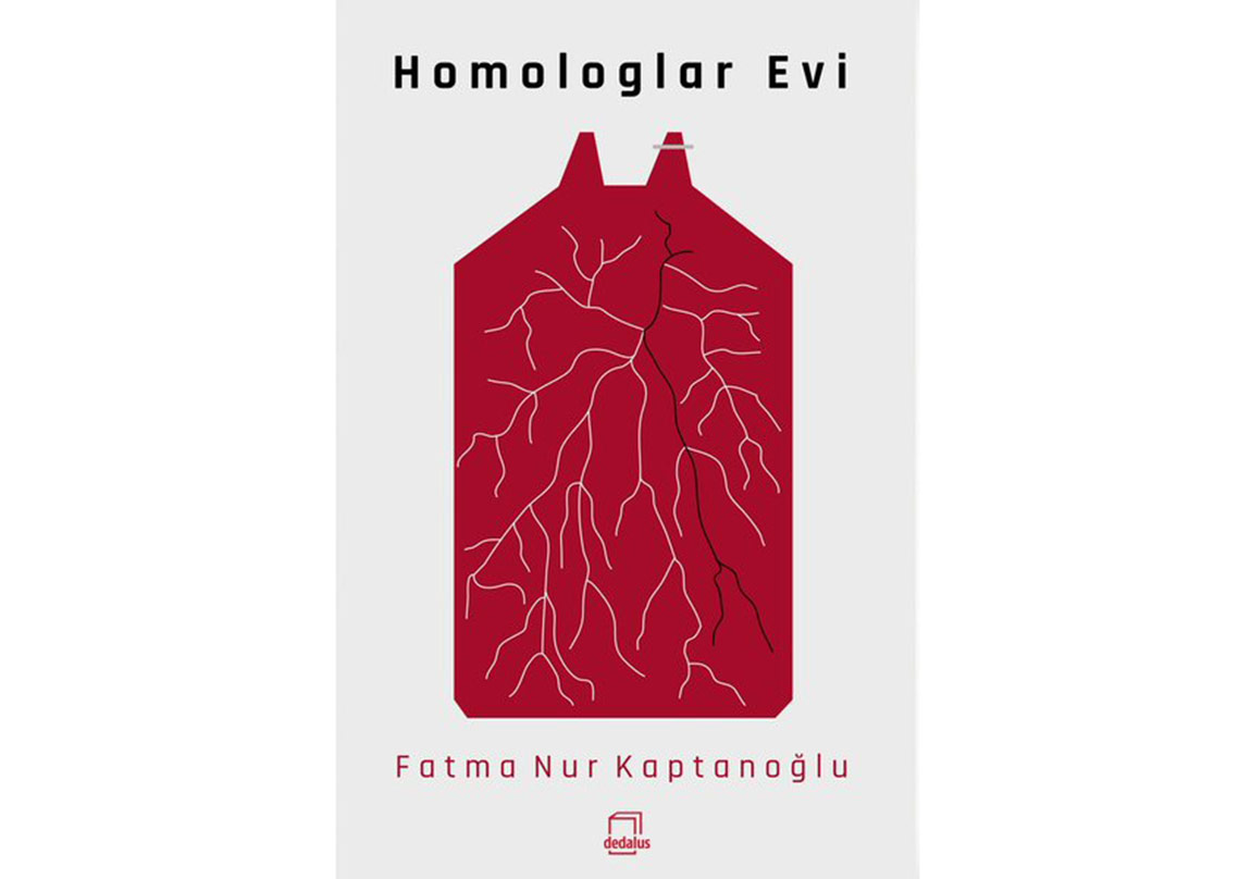 İnsanların Homolugu Var mıdır?