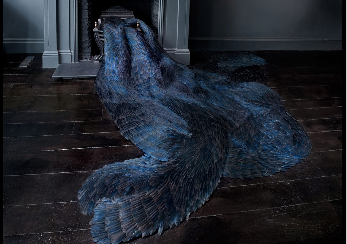 Göz Alıcı Kuş Tüyleri