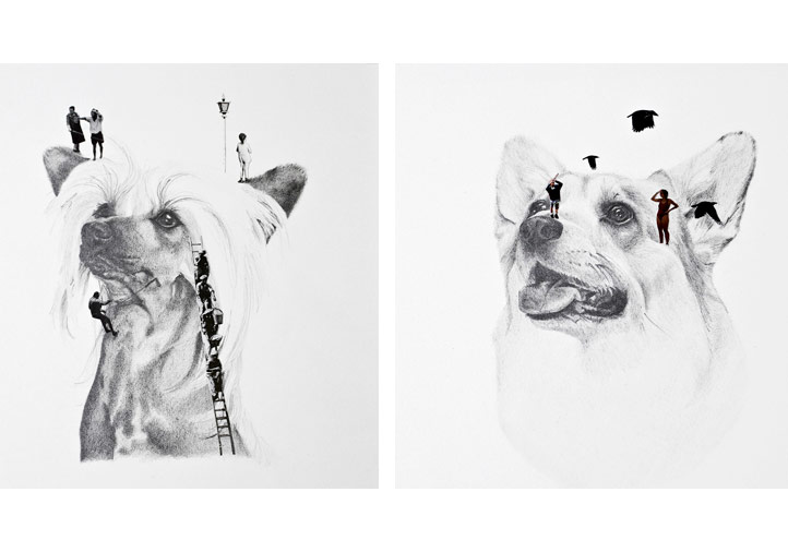 Soğuk Renkler, Donuk Suratlar