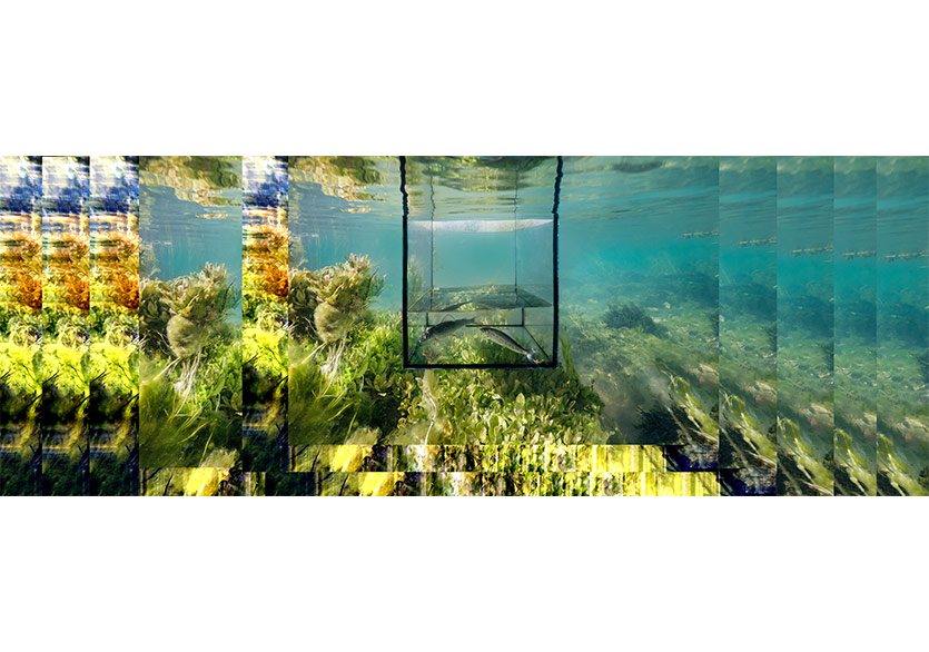 Contemporary Istanbul Vakfı’ndan Yeni Sergi: “Metabilgi: Algoritma’nın Ritmi”