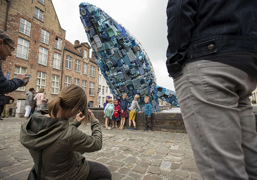 Brugge Kanalı’nda Dev Bir Balina