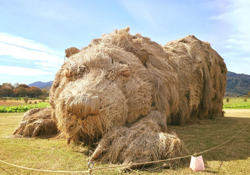 Wara Art Festival Kapsamında Pirinç Saman Heykelleri