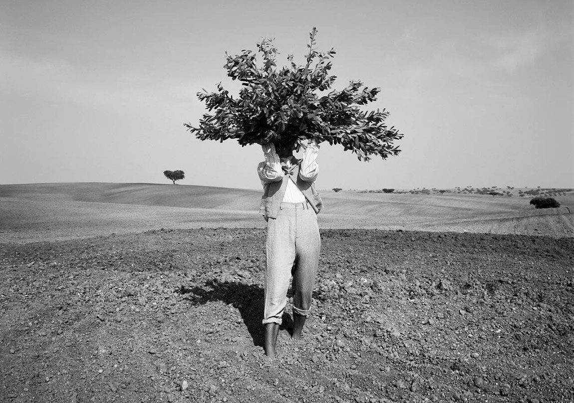 Sürrealizmin Fotoğrafa Yansımaları