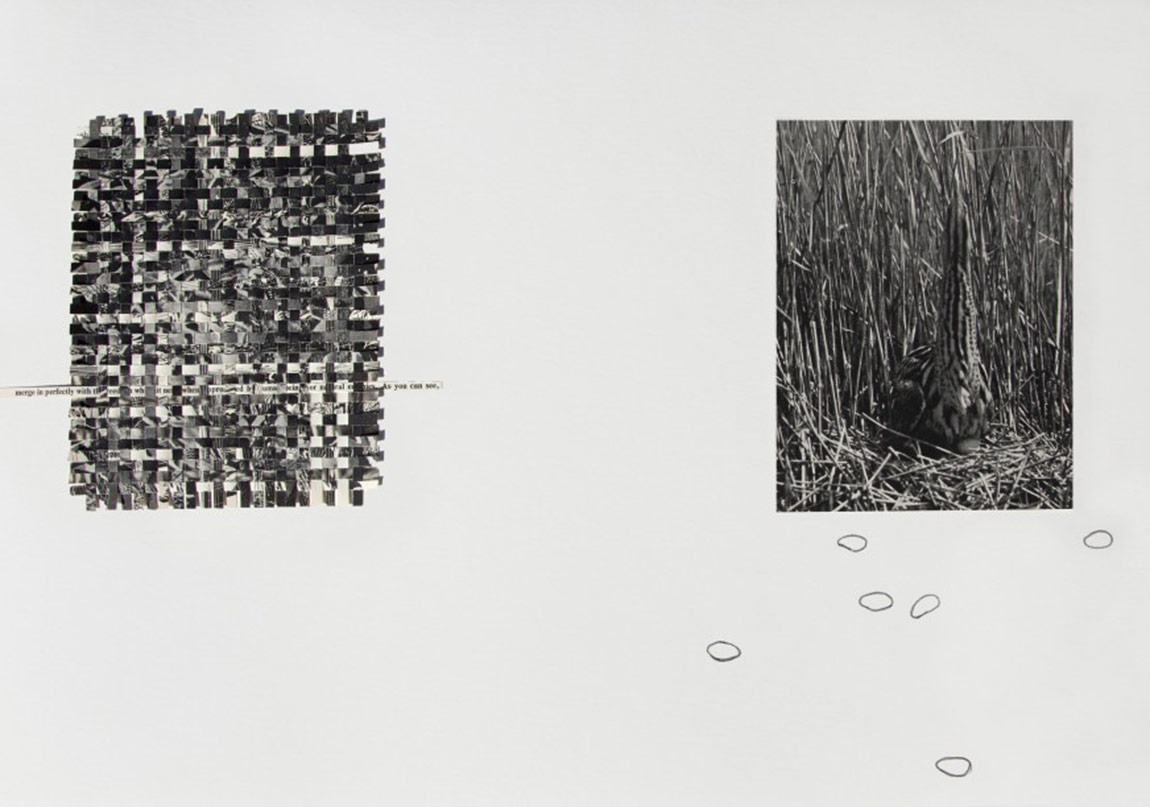 Organik ve İnorganiğin Eşiğinde Bir Ütopya