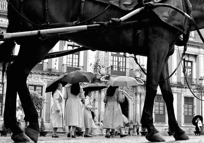 Sokakların Siyah Beyaz Hali